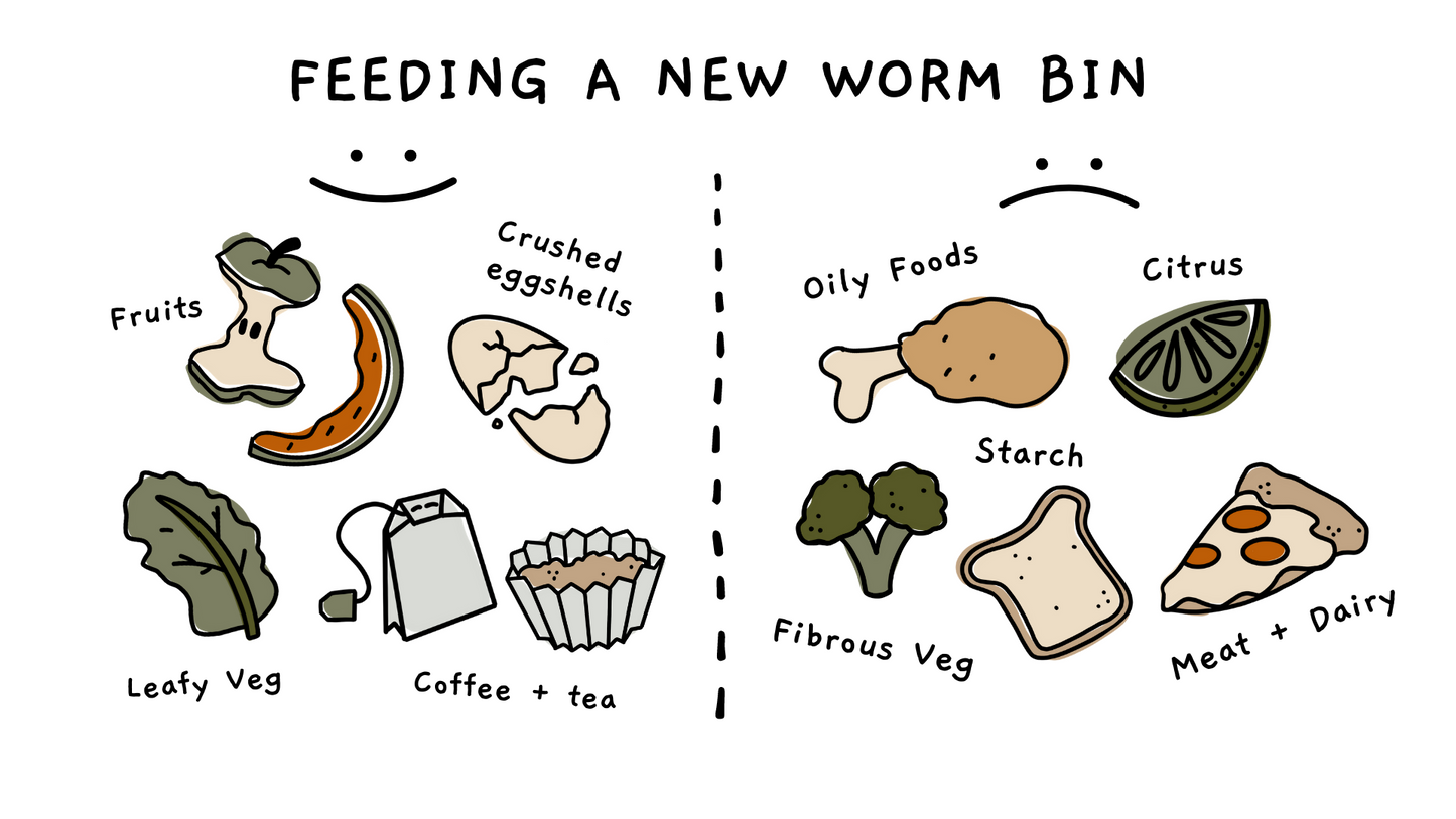 Worm Parenting Guide