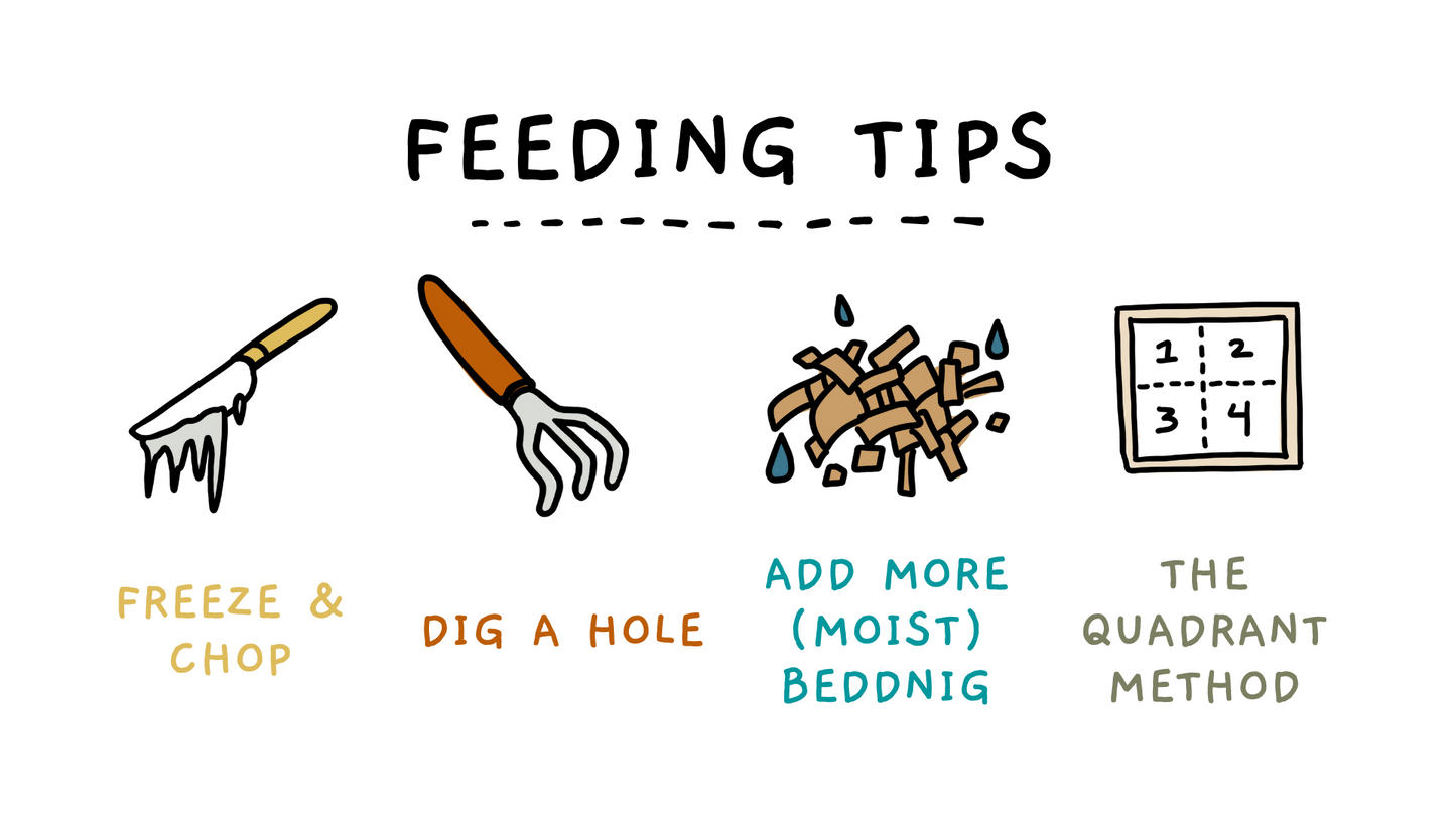 Worm Parenting Guide