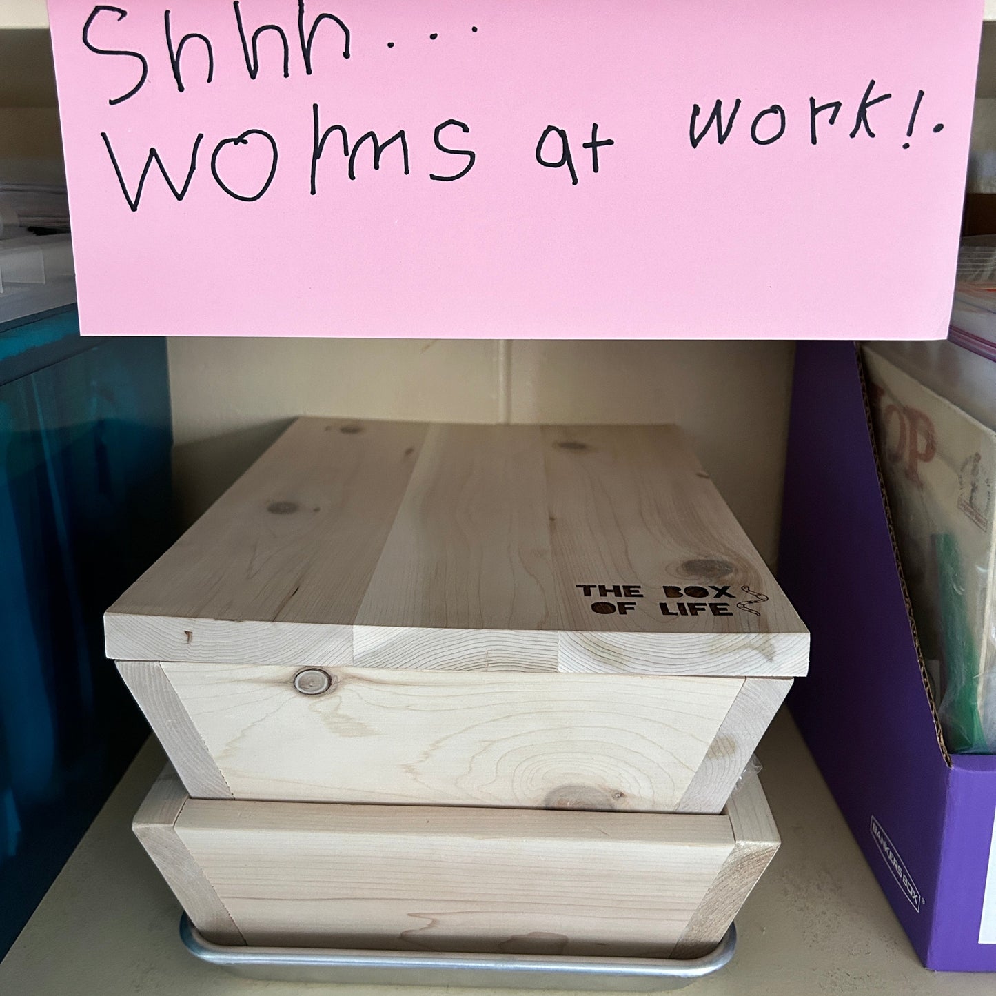 Classroom workshop