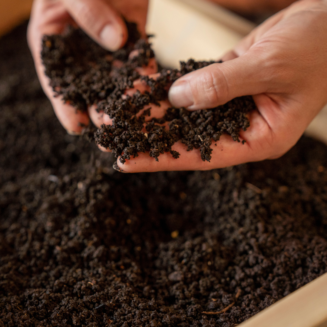 Harvested worm castings from the bottom layer are free of worms