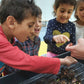 Classroom workshop
