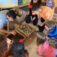 Classroom workshop