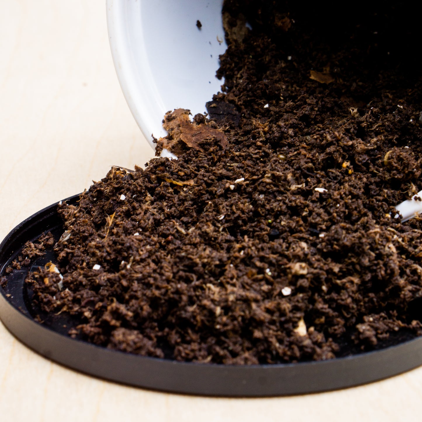Worm Castings - nature's best fertilizer