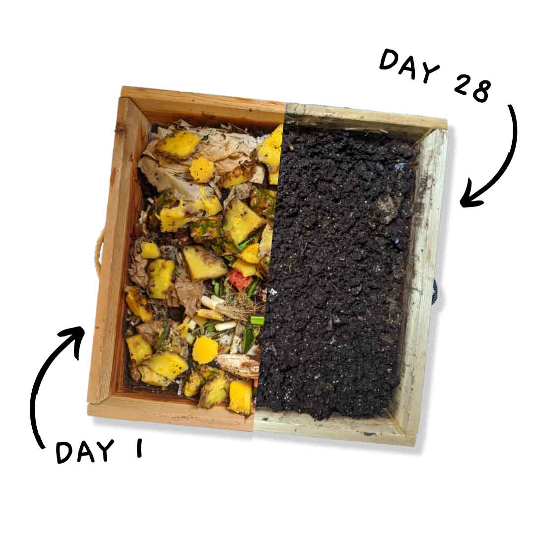 The Box of Life  A Beautiful Composting Solution – The Box Of Life