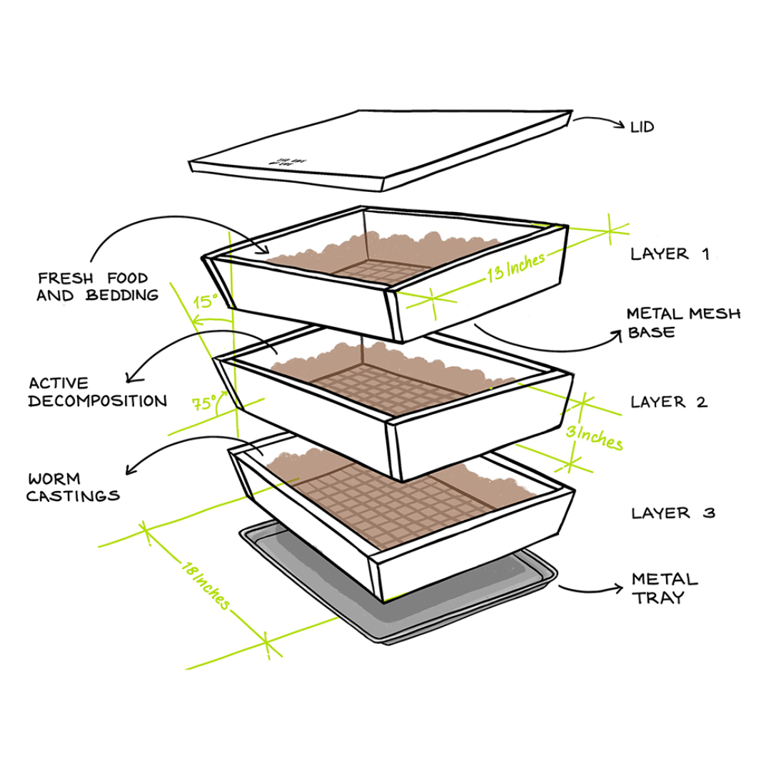 Split View of worm studio showing the three layers