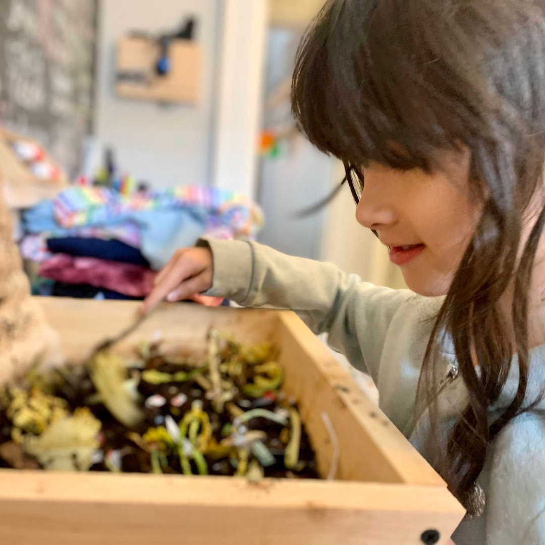 Feeding food scraps into a wooden worm composting bin for indoor use