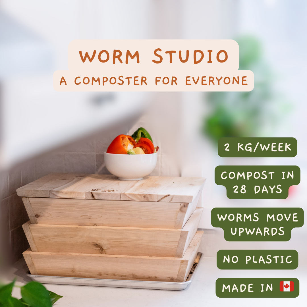 Square Worm A beautiful, plastic free, cedar worm farm made in Canada – The Box Of Life