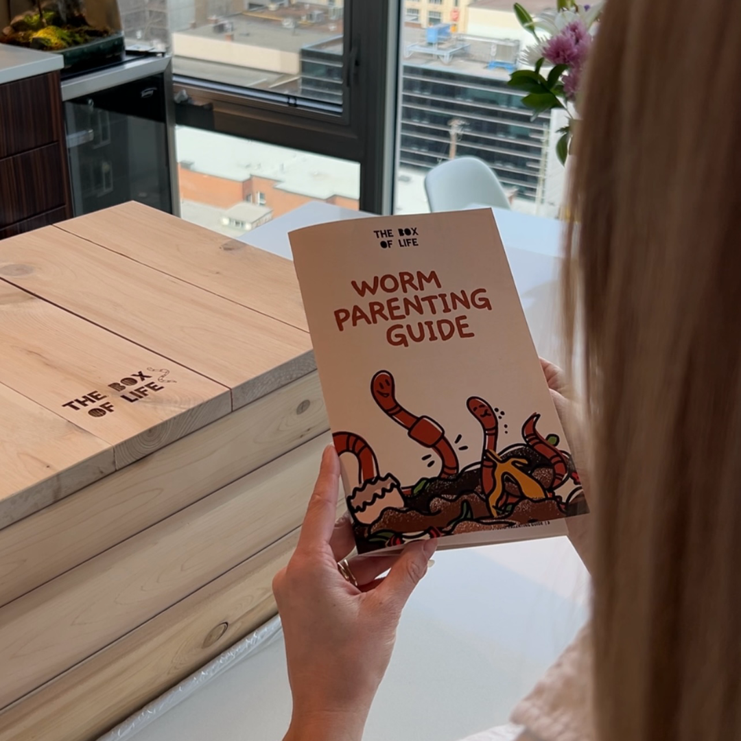 Worm Studio with instructional Worm Parenting Guide included