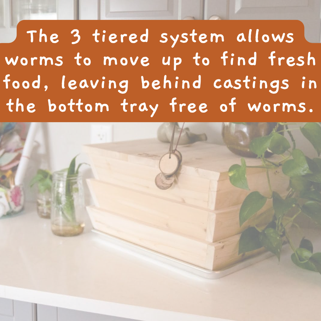 Complete worm composting setup with Worm Studio – perfect for urban homes