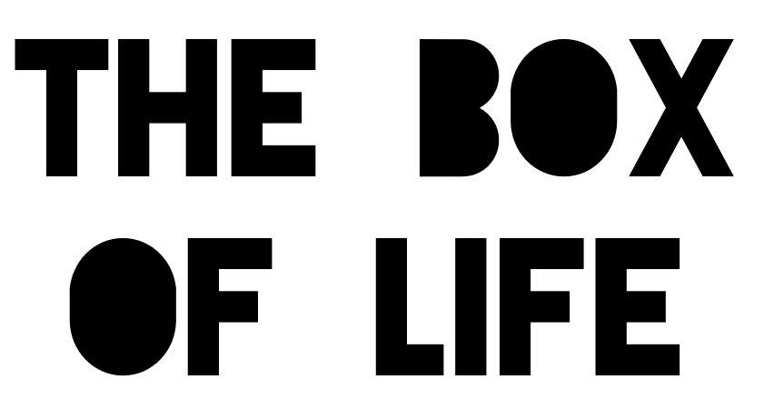 The Box Of Life Inc.