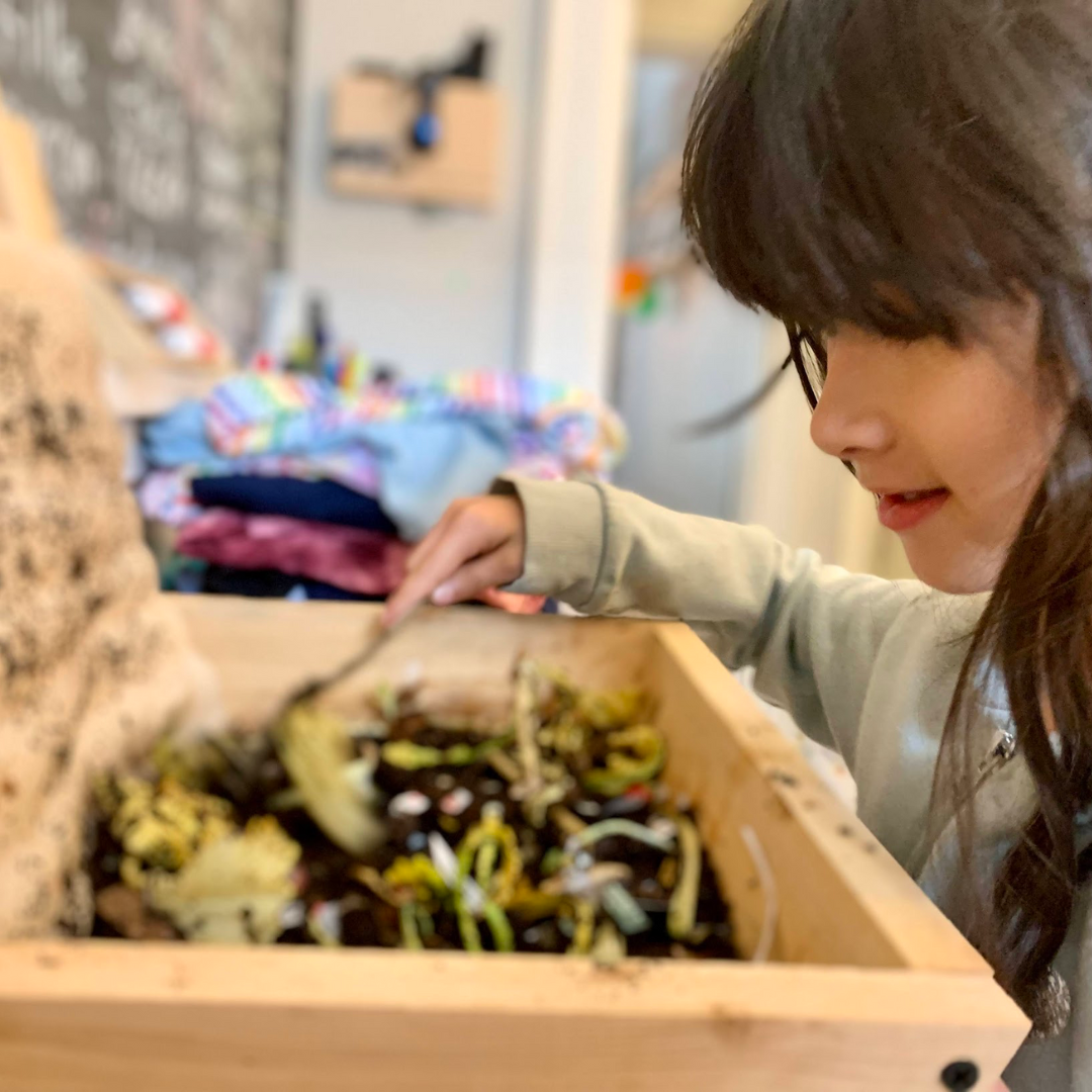 Mini Worm Studio for Ecoschools – The Box Of Life