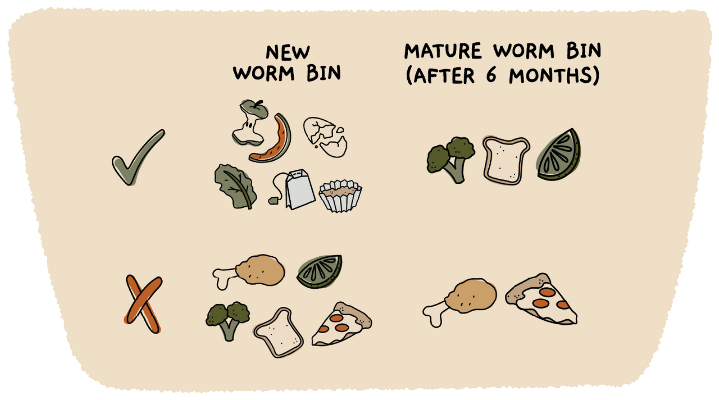 Worm Parenting Guide