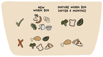 Worm Parenting Guide