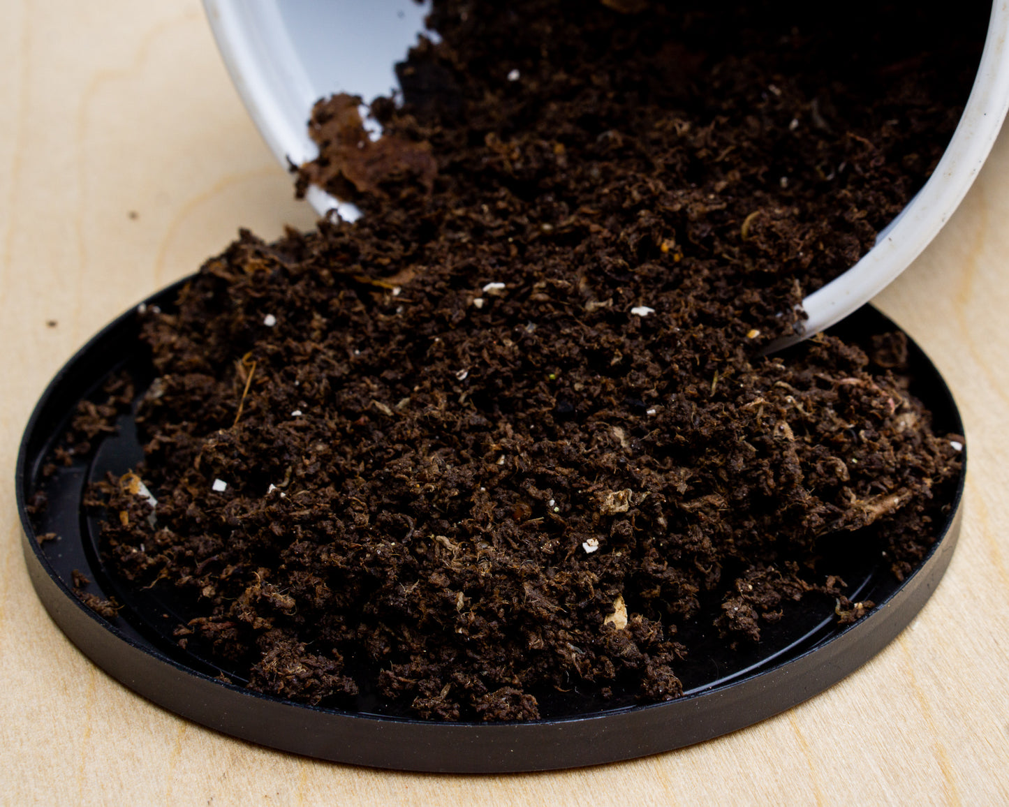 Worm Castings - nature's best fertilizer