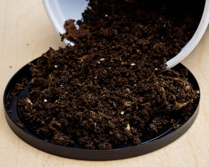 Worm Poop - nature's best fertilizer